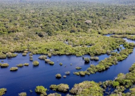 Quase todos os biomas registraram redução do desmatamento em 2024