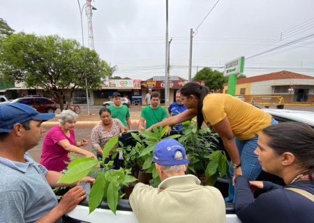Ação especial oferta mais de 150 mudas nativas à população