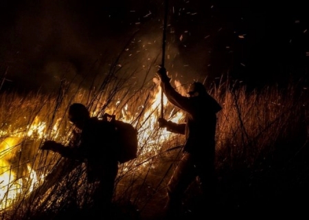 Governo de MS lança edital do PSA Brigadas para fortalecer prevenção e combate a incêndios no Pantanal