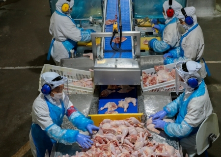 Brasil não tem capacidade de armazenar carne de frango excedente