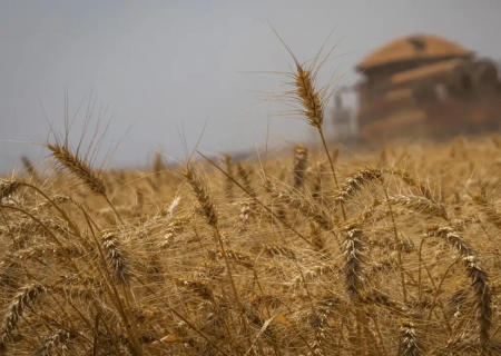 Conab prorroga inscrições para concurso até 20 de maio