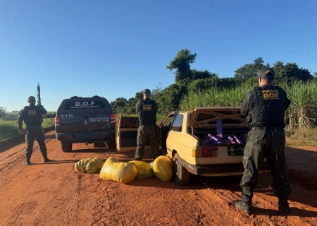 Traficante é preso com 350 kg de maconha e skunk em Iguatemi