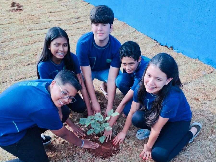 Alunos da Escola Braz realizam plantio de ipês em ação da Semana do Meio Ambiente