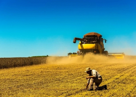 Colheita de soja chega a 100% no Brasil
