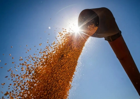 Brasil poderá ter novo recorde na produção de grãos na safra 2024/2025