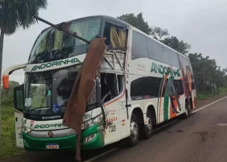 Duas pessoas morrem e criança fica gravemente ferida em acidente com ônibus na BR-262