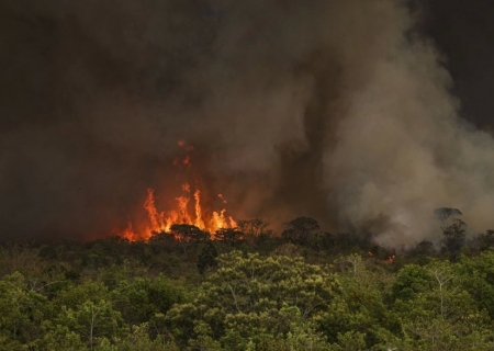 Queimadas fazem desmatamento crescer 92% na Amazônia em maio