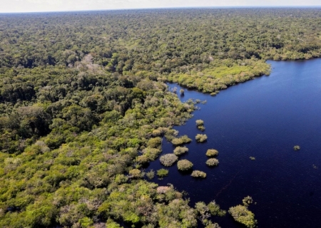 Fundo Amazônia bate recorde ao destinar mais de R$ 1 bilhão em 2025