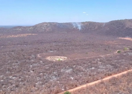 Nove estados registraram mais de 41 mil crimes ambientais em dois anos