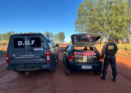 Policiais apreendem 329 kg de maconha ao notarem odor característico do entorpecente em Eldorado
