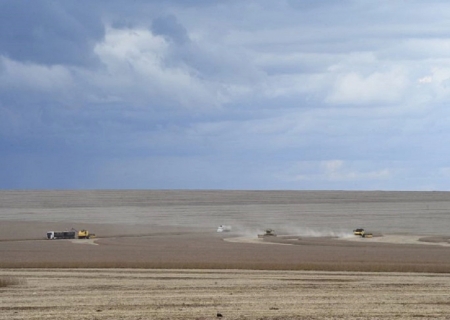 Motor de MS: agronegócio deve puxar PIB do Estado, com previsão de crescer 5,5% neste ano