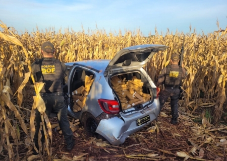 DOF apreende mais de 420 kg de drogas em Aral Moreira que seguiam para Bataguassu