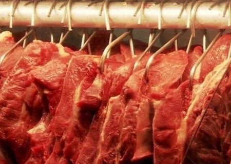 Vendas de setores do agro aos EUA já despencam antes de tarifas de 50%