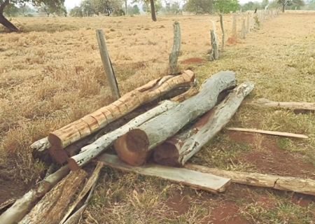 Ministério Público investiga desmatamento e exploração ilegal de madeira nativa em Nioaque