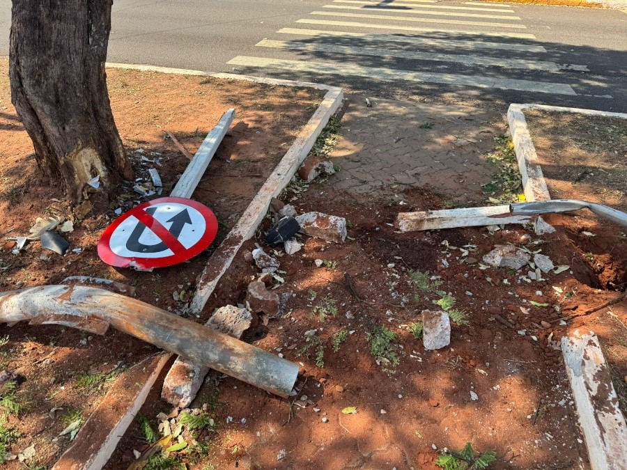 Motorista colide com postes e placas de sinalização após saltar lombada na Moura Andrade