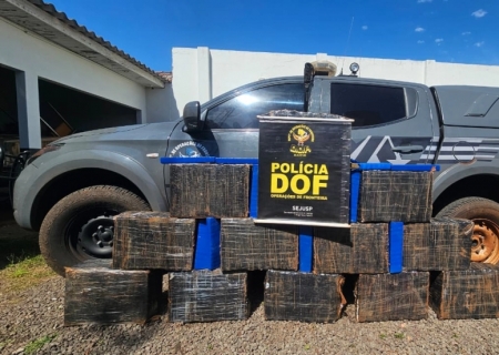 DOF apreende mais de 250 kg de droga em mata de assentamento em Itaquiraí