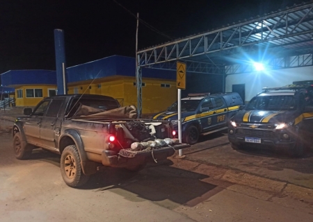 Homem é preso com 34 kg de skunk durante fiscalização da PRF em Amandina