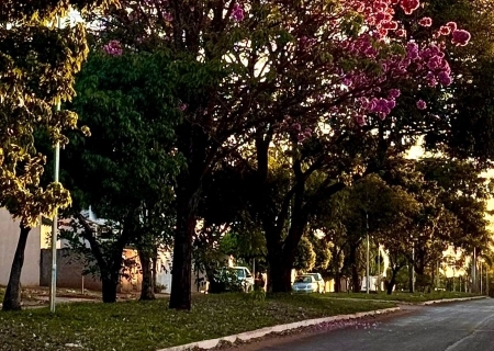 Frente fria se aproxima e deve mudar o tempo em Mato Grosso do Sul