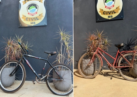 Polícia Civil de Batayporã elucida furtos e prende suspeito que escondia objetos em Nova Casa Verde