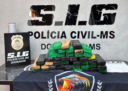 Polícia Civil apreende 40 kg de maconha em quitinete usada como entreposto do tráfico em Dourados
