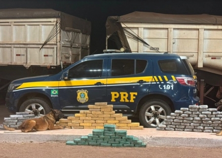 Cães farejadores auxiliam a PRF em grande apreensão de drogas em MS