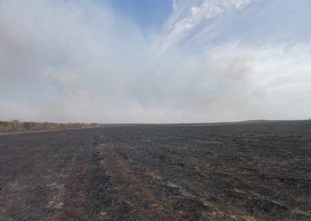 Incêndio em fazenda gera multa de mais de R$ 4 milhões em Angélica