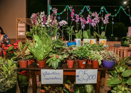 Feira “Artes, Flores e Sabores” vai celebrar a primavera com artesanato, gastronomia e música em Batayporã