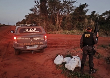 DOF apreende 18 kg de skunk transportados em moto em Japorã