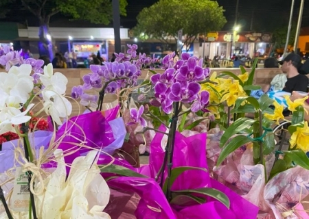 Feira Arte, Flores e Sabores movimentou Batayporã com cultura, lazer e valorização do empreendedorismo local