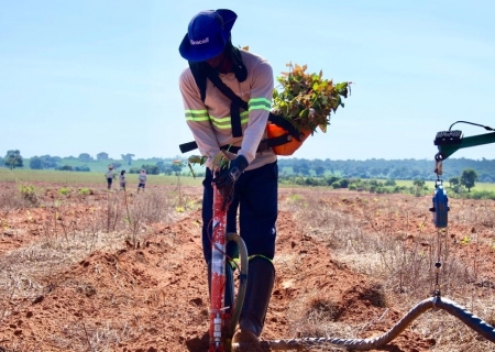 MS Florestal abre 53 vagas de emprego nas operações de Silvicultura em Santa Rita do Pardo
