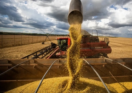 Inflação recua em agosto e arroz puxa queda nos preços ao consumidor