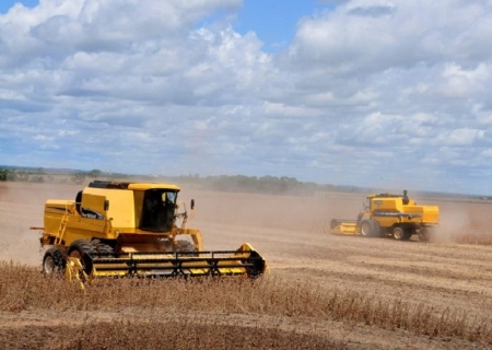Mato Grosso do Sul se consolida como potência exportadora com diversificação e sustentabilidade
