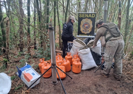 Polícia paraguaia fecha laboratório clandestino de cannabis
