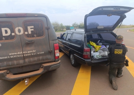 Policiais do DOF apreendem quase 60 quilos de skunk e haxixe em Laguna Carapã
