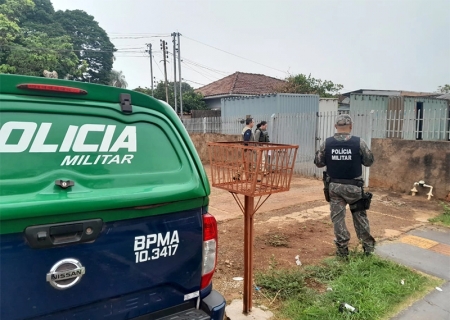 Operação prende 18 pessoas e resgata quase 800 animais em MS e em mais 10 estados