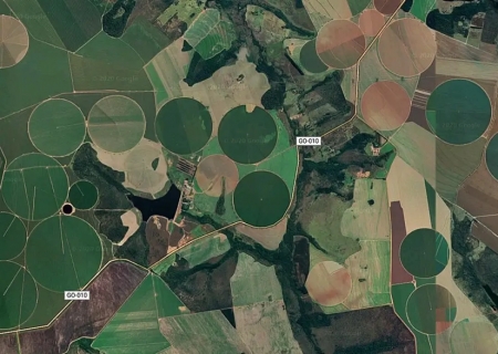 Cerrado brasileiro perdeu 28% da vegetação nativa em 40 anos