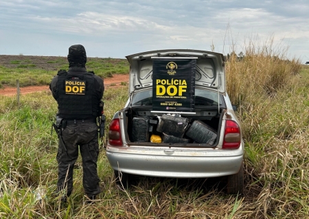 Drogas avaliadas em R$ 1,8 milhão são apreendidas pelo DOF em Laguna Carapã