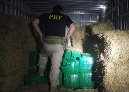 Polícia apreende mais de duas toneladas de maconha escondidas em carga de feno em Bataguassu