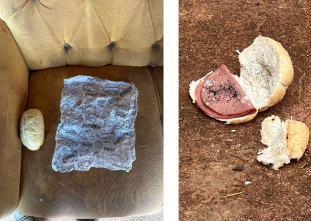 Idoso é preso em flagrante após matar enteado com pão envenenado em Bataguassu
