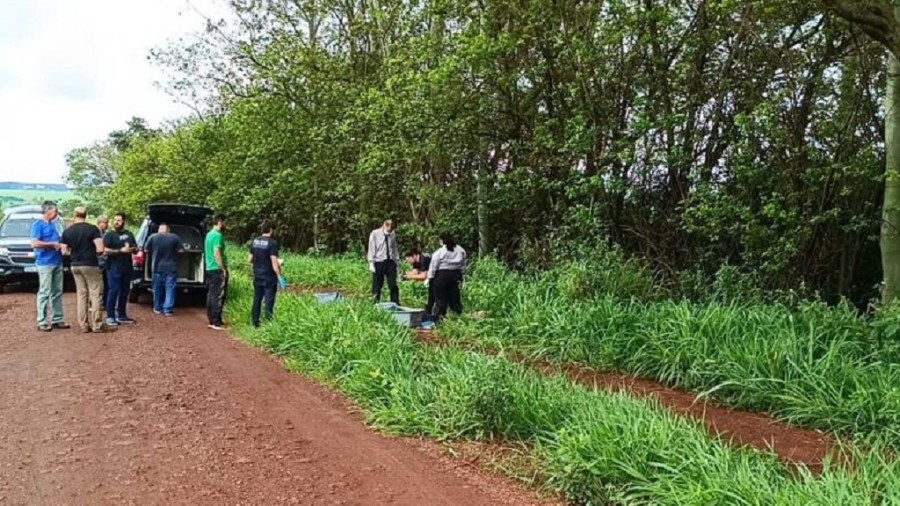 Padre desaparecido é encontrado morto em Dourados; dupla é detida por latrocínio e ocultação de cadáver