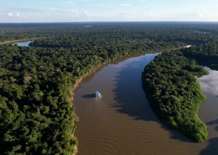 Amazônia Legal registra menor índice de desmatamento em 17 anos