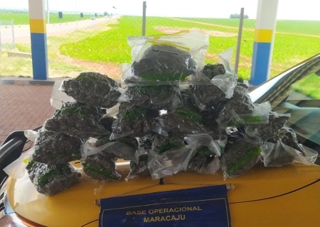 Polícia apreende quase 10 kg de skunk em abordagem na MS-164