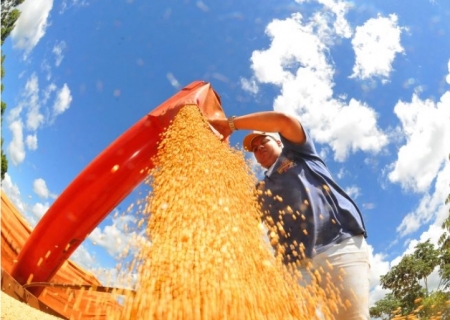 MS deve fechar 2025 com produção agropecuária acima de R$ 76,3 bilhões, aponta Carta de Conjuntura