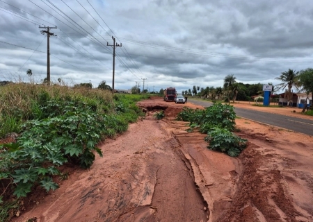 Ministério Público ajuíza ação contra Agesul, Estado e município de Ivinhema por danos ambientais na MS-141