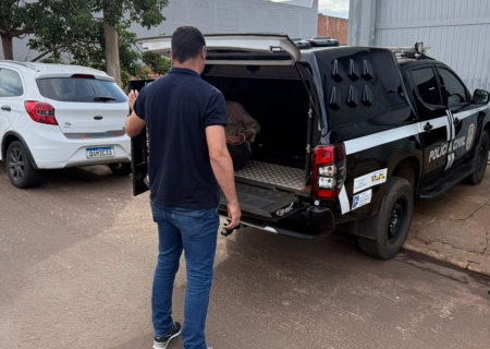 Homem conhecido como “Rei do Cobre” é preso em Nova Andradina por furto de fios elétricos