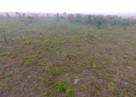 MPE firma TAC após constatar desmatamento irregular de 779 hectares no Cerrado em Ribas do Rio Pardo