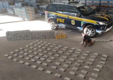 PRF apreende 386 kg de cocaína escondidos em carga de cimento em Campo Grande