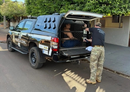 Mulher é presa em Nova Andradina durante operação contra golpe do falso advogado