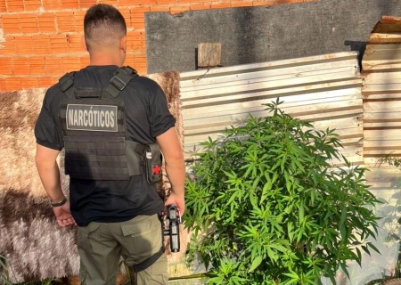 Homem condenado por tráfico é preso em Campo Grande