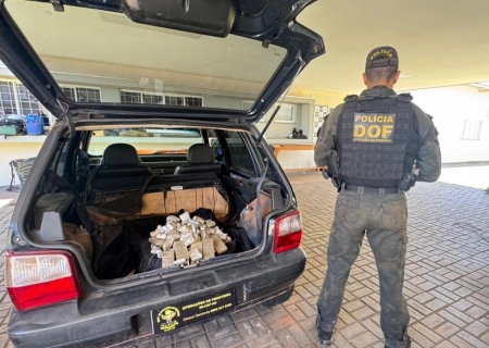 DOF apreende 9 kg de haxixe marroquino e prende homem na BR-163 em Dourados